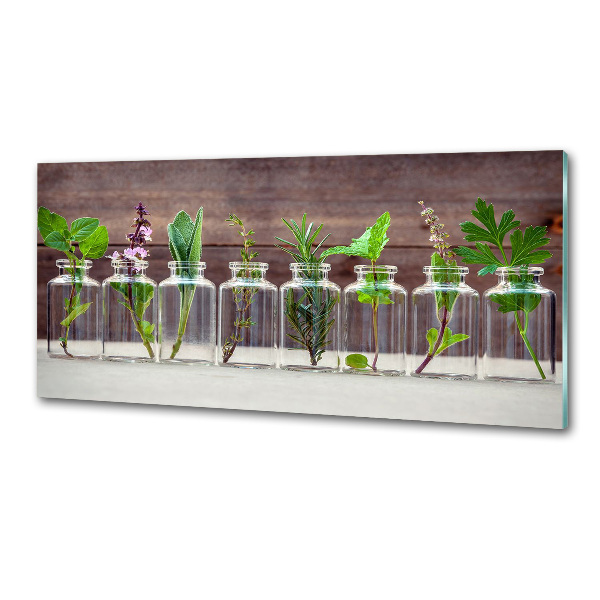 Hob splashback Plants in jars