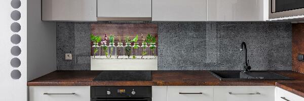 Hob splashback Plants in jars