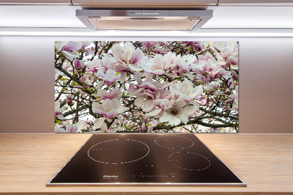 Kitchen splashback Magnolia flowers