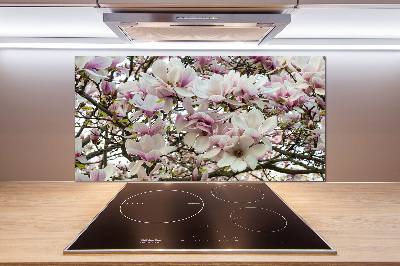 Kitchen splashback Magnolia flowers