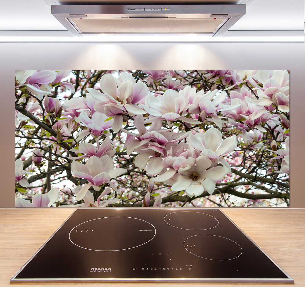 Kitchen splashback Magnolia flowers