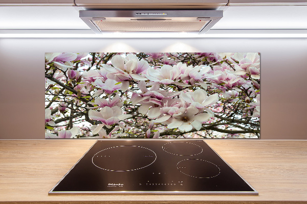 Kitchen splashback Magnolia flowers