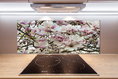 Kitchen splashback Magnolia flowers