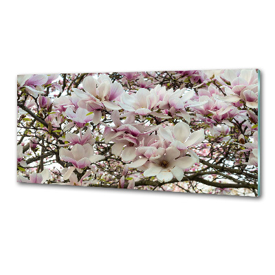 Kitchen splashback Magnolia flowers