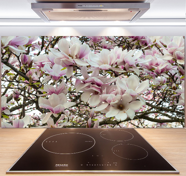 Kitchen splashback Magnolia flowers