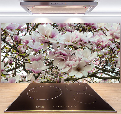 Kitchen splashback Magnolia flowers