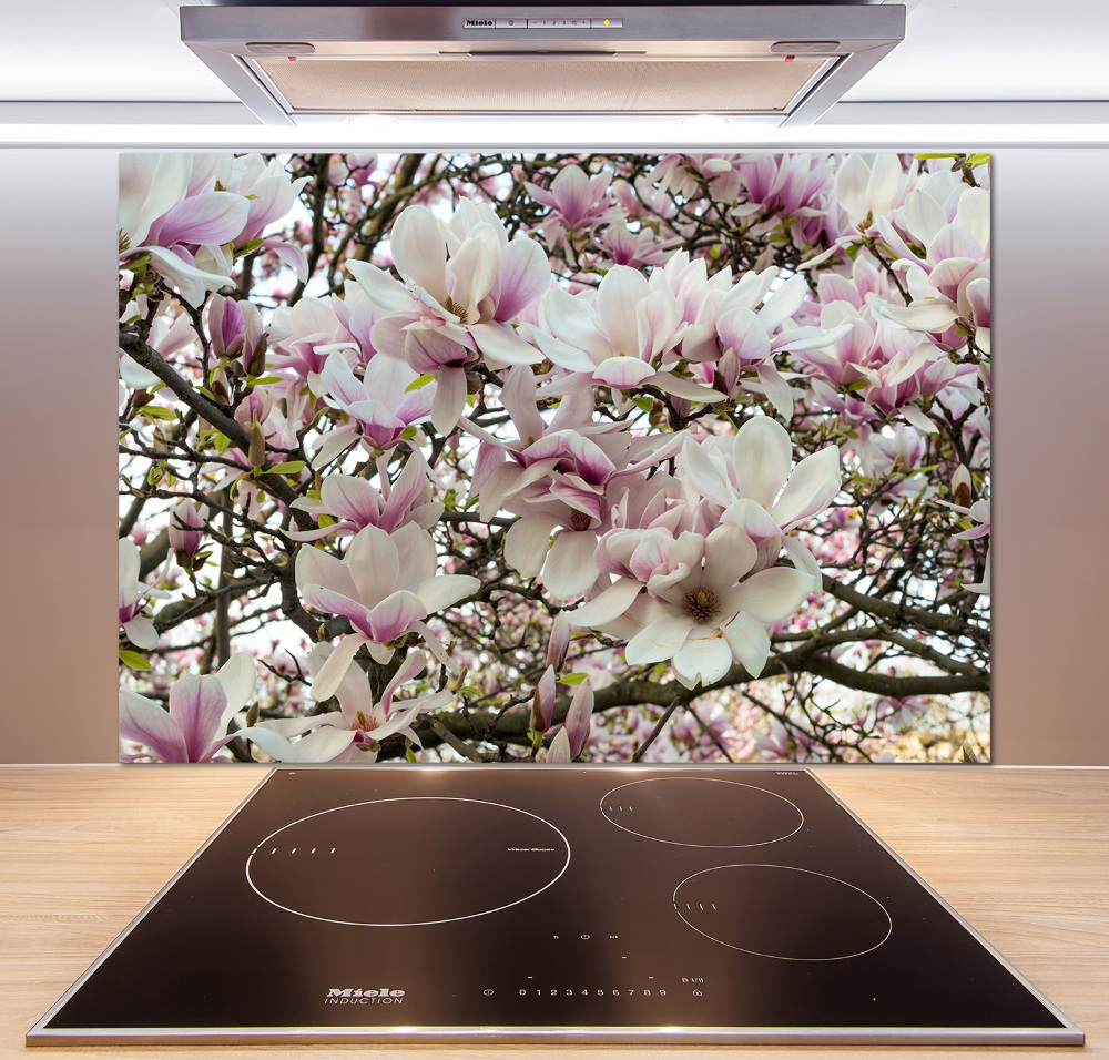 Kitchen splashback Magnolia flowers