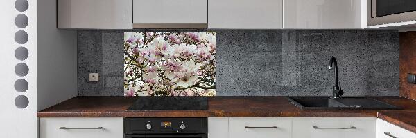 Kitchen splashback Magnolia flowers