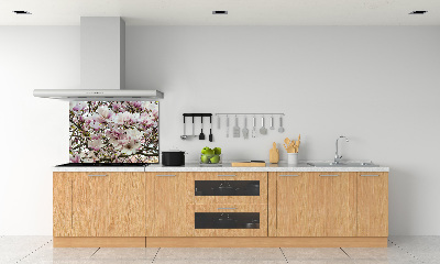 Kitchen splashback Magnolia flowers