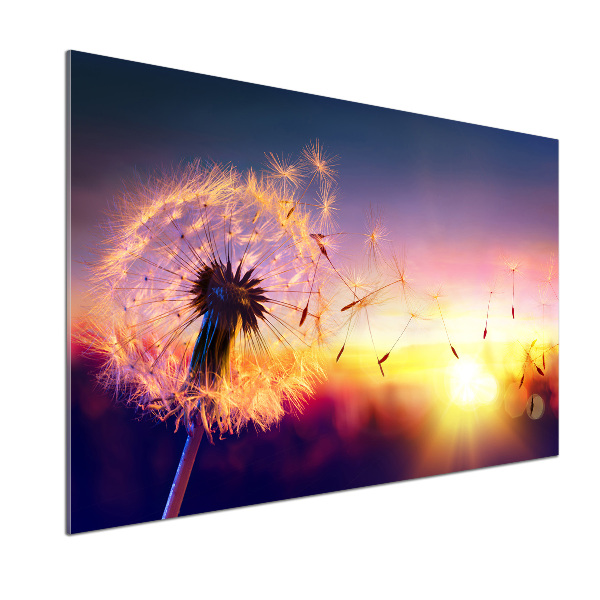 Kitchen splashback Dandelion