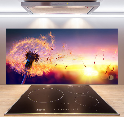 Kitchen splashback Dandelion