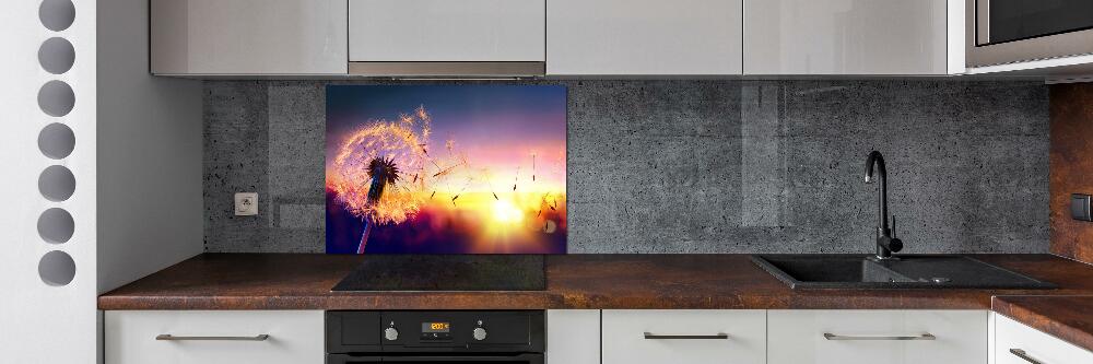 Kitchen splashback Dandelion