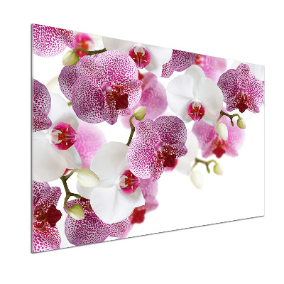 Kitchen splashback Orchid