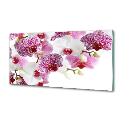 Kitchen splashback Orchid