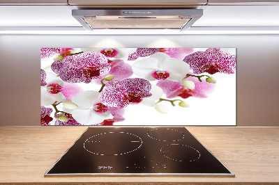 Kitchen splashback Orchid