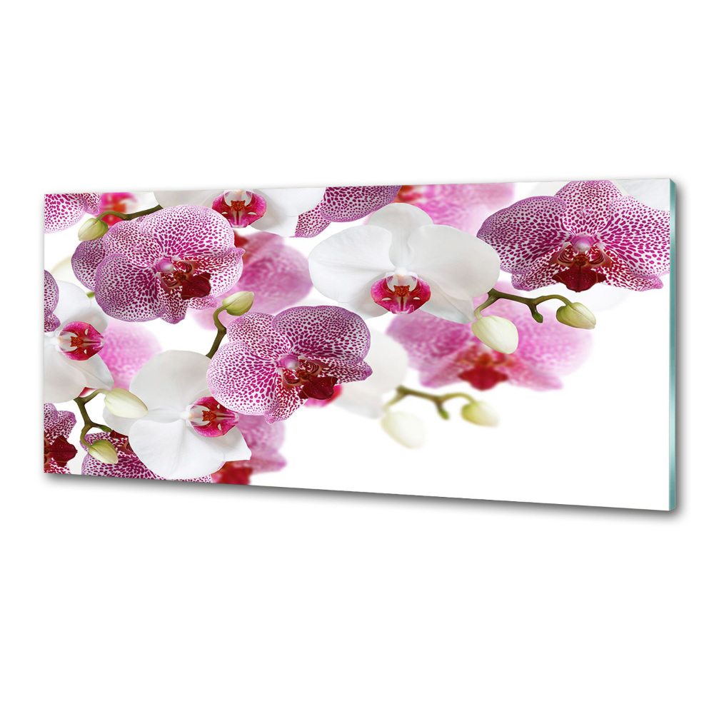 Kitchen splashback Orchid