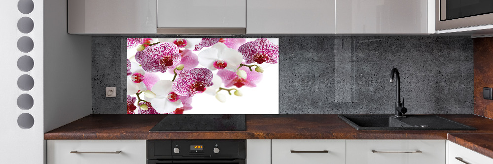 Kitchen splashback Orchid