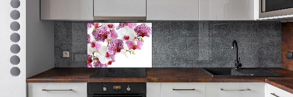 Kitchen splashback Orchid