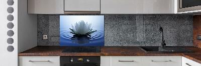 Kitchen splashback water lily