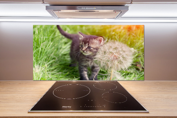 Glass splashback Kitty with dandelion