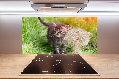 Glass splashback Kitty with dandelion