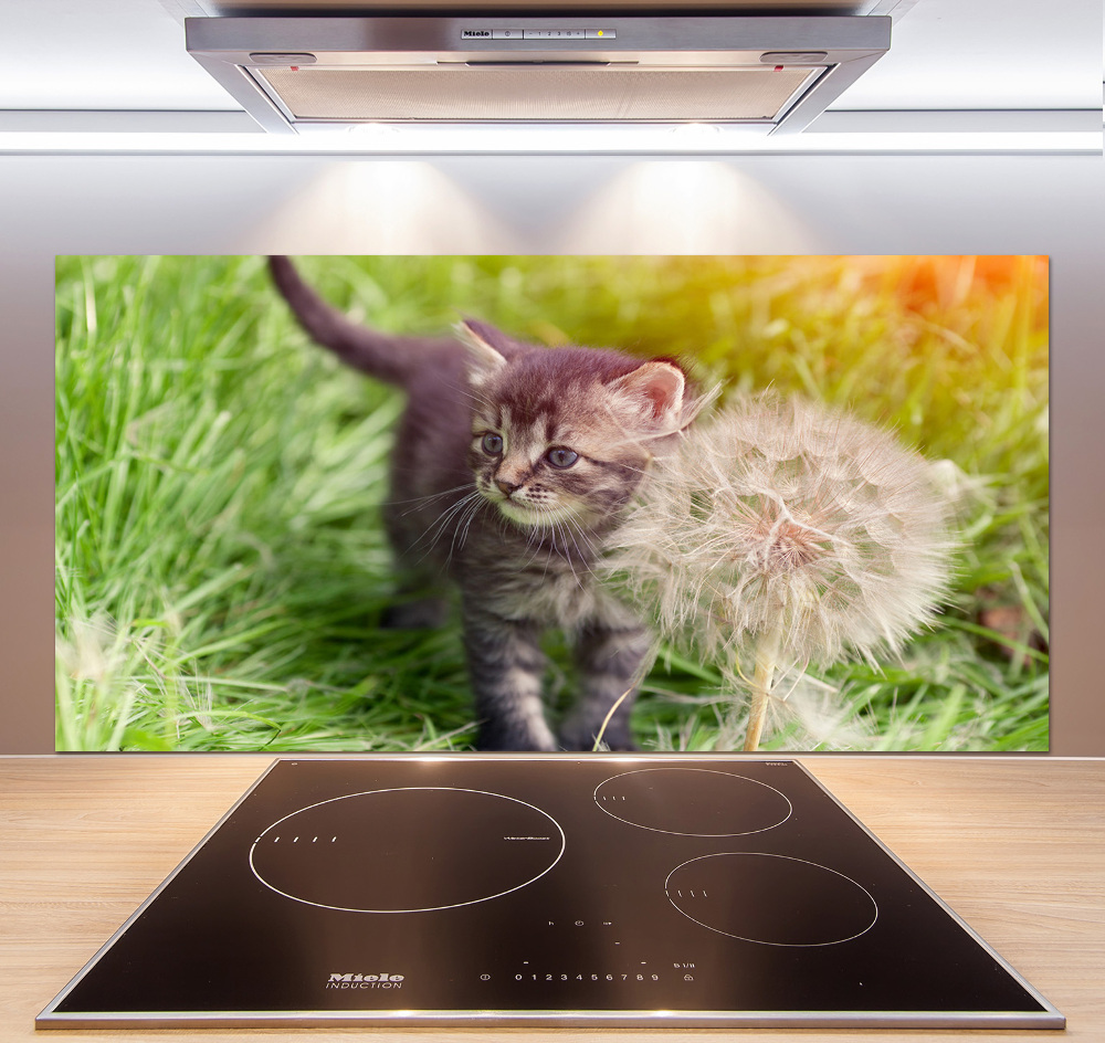 Glass splashback Kitty with dandelion