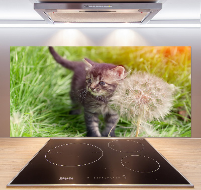 Glass splashback Kitty with dandelion