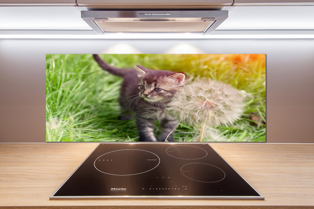 Glass splashback Kitty with dandelion