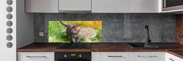 Glass splashback Kitty with dandelion