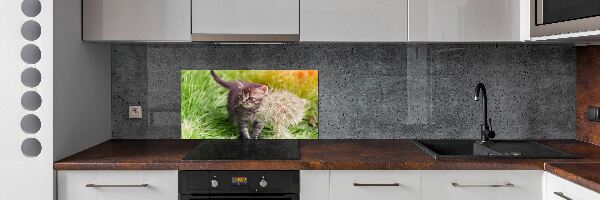 Glass splashback Kitty with dandelion