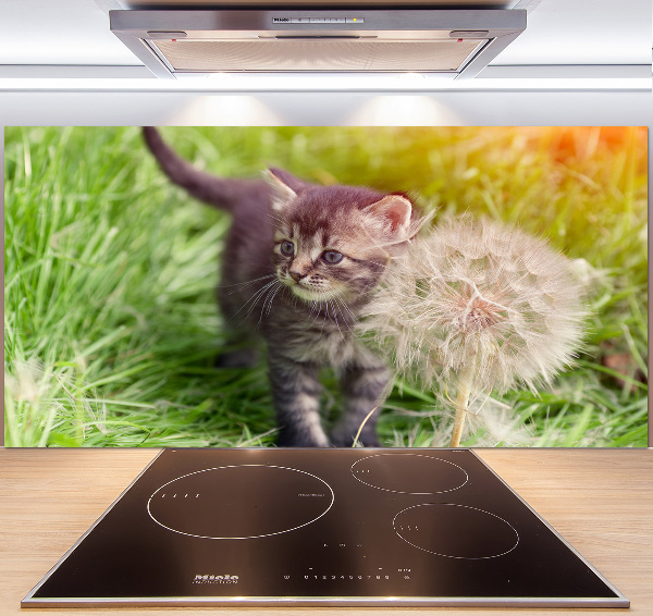 Glass splashback Kitty with dandelion