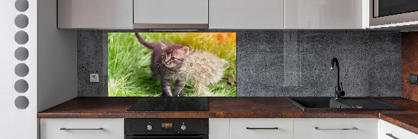 Glass splashback Kitty with dandelion