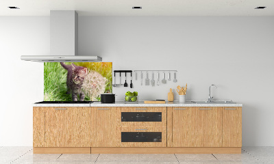 Glass splashback Kitty with dandelion