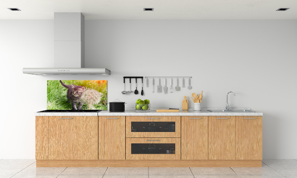 Glass splashback Kitty with dandelion