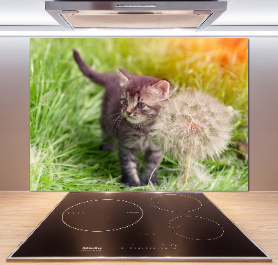 Glass splashback Kitty with dandelion