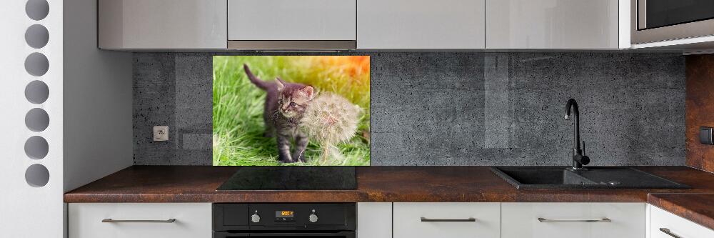 Glass splashback Kitty with dandelion