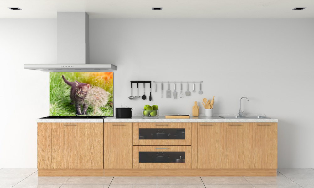 Glass splashback Kitty with dandelion