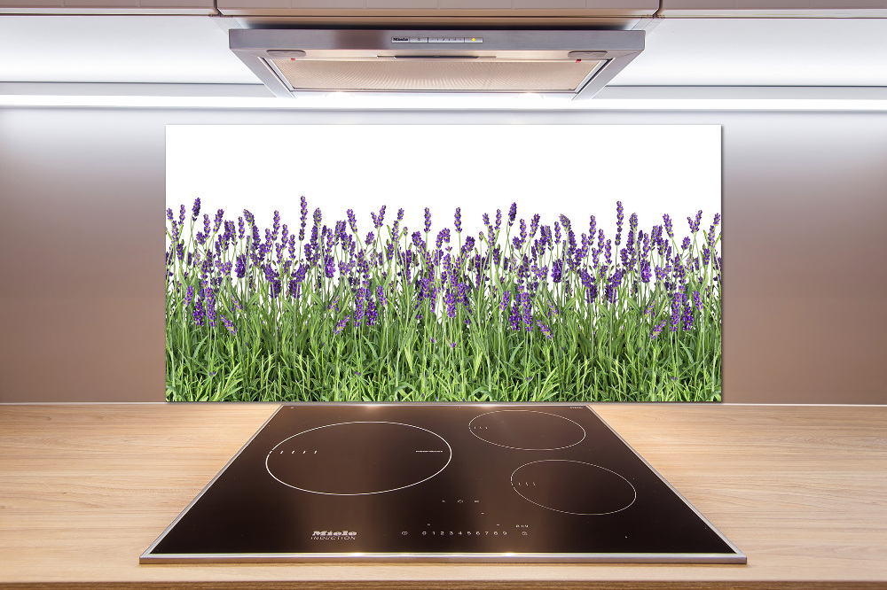 Kitchen splashback Lavender flowers