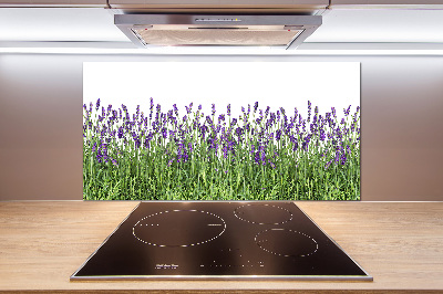 Kitchen splashback Lavender flowers