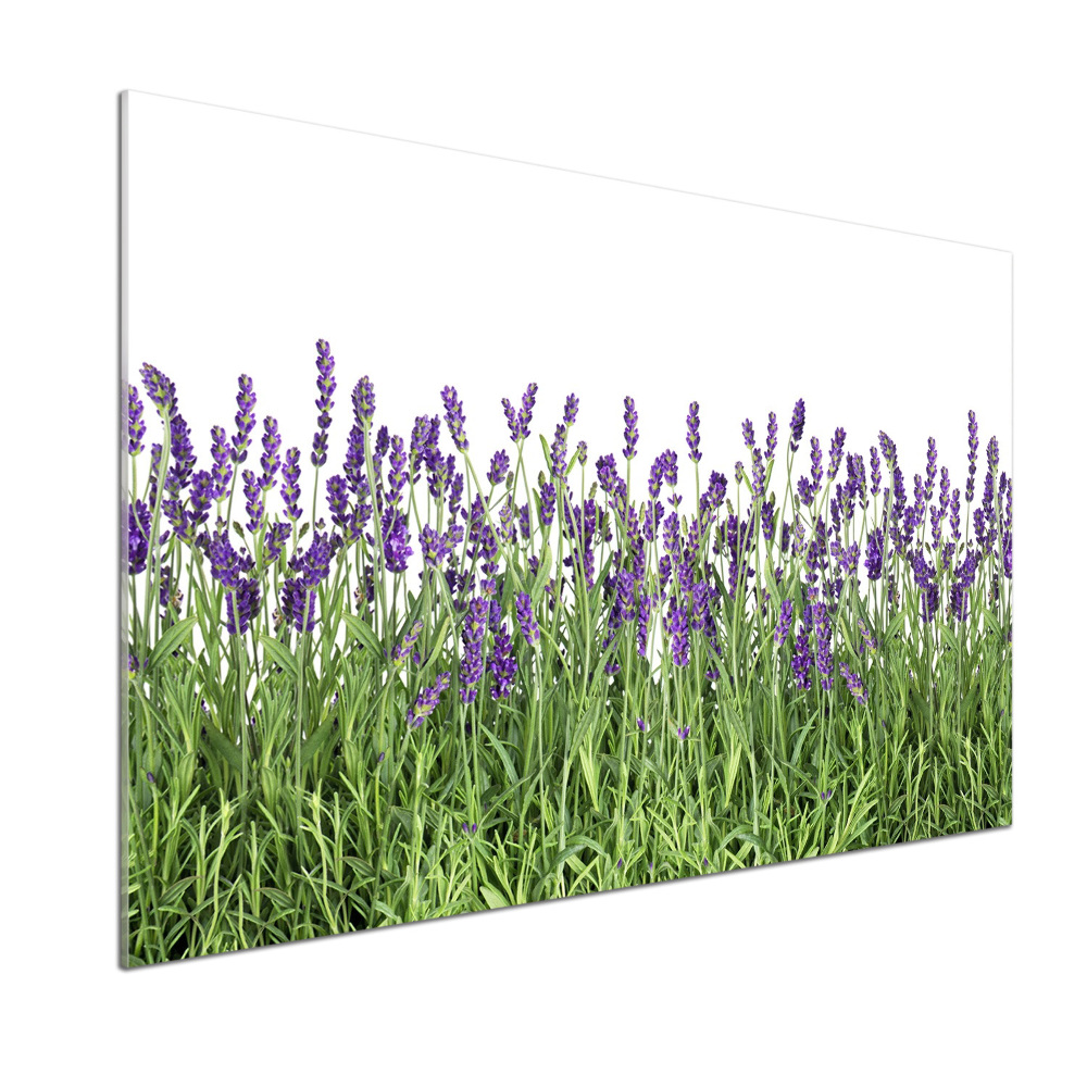 Kitchen splashback Lavender flowers