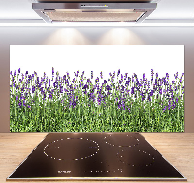 Kitchen splashback Lavender flowers