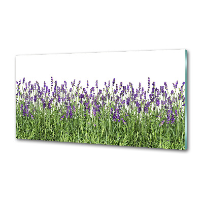 Kitchen splashback Lavender flowers