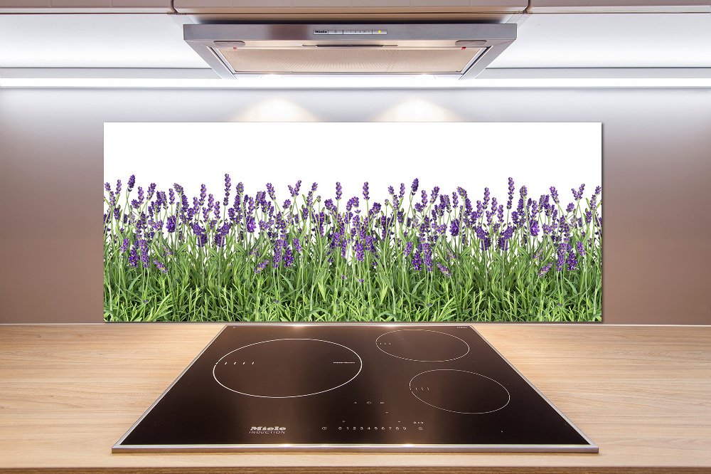 Kitchen splashback Lavender flowers