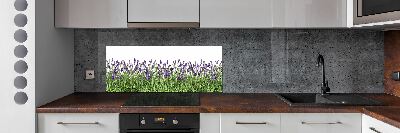 Kitchen splashback Lavender flowers