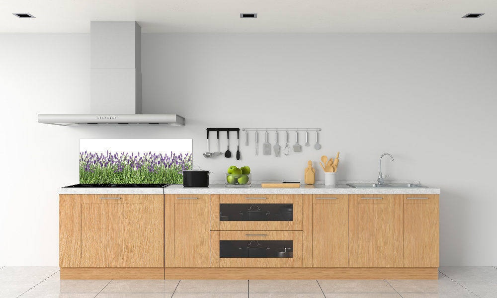 Kitchen splashback Lavender flowers