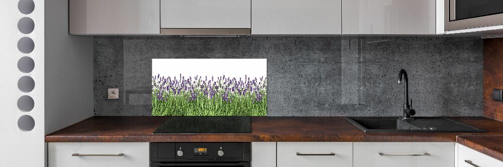 Kitchen splashback Lavender flowers