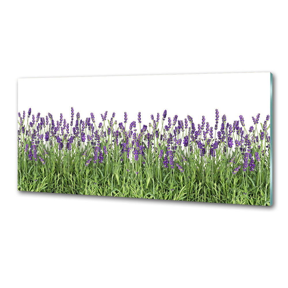 Kitchen splashback Lavender flowers