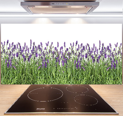 Kitchen splashback Lavender flowers