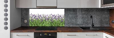 Kitchen splashback Lavender flowers