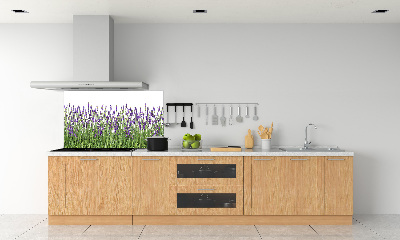 Kitchen splashback Lavender flowers